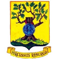 308 BG 14AF