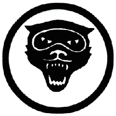 348 FS Patch