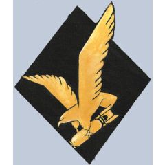 513 BS 376 BG