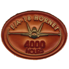 Hornet hours -4000 shaded