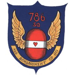 786 BS 466 BG 8 AF