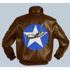 Navy plane Nose art