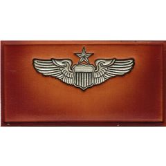 Shaded, Silver with black outline