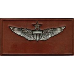US Army Senior Pilot Wings