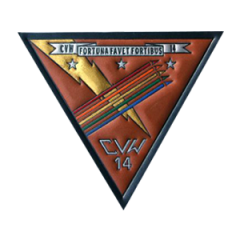 CVW 14 Fortuna Favet Fortibus