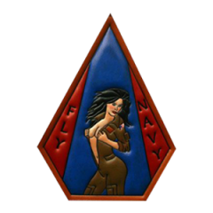 Fly Navy Patch