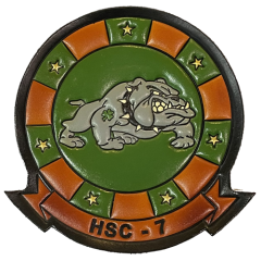 HSC 7