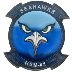 HSM 41 Seahawks