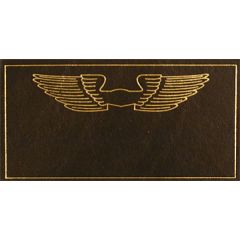 Nametag Flight Instructor