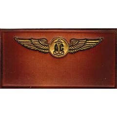 Nametag Navy Air Crew