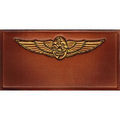 Nametag Navy Surgeon