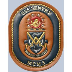 USS Sentry