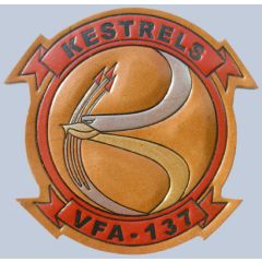 VFA 137