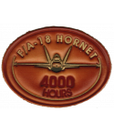 Hornet hours -4000 shaded 