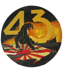 43 Squadron leather patch