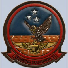 VT 31 Training Squadron